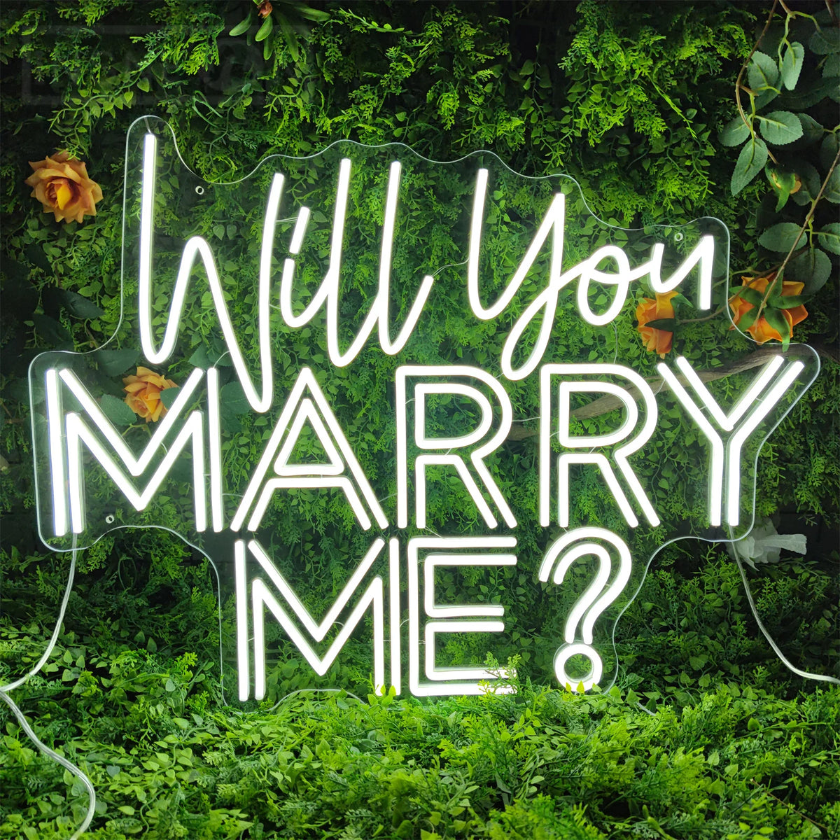 Will You MARRY ME LED Neon Sign